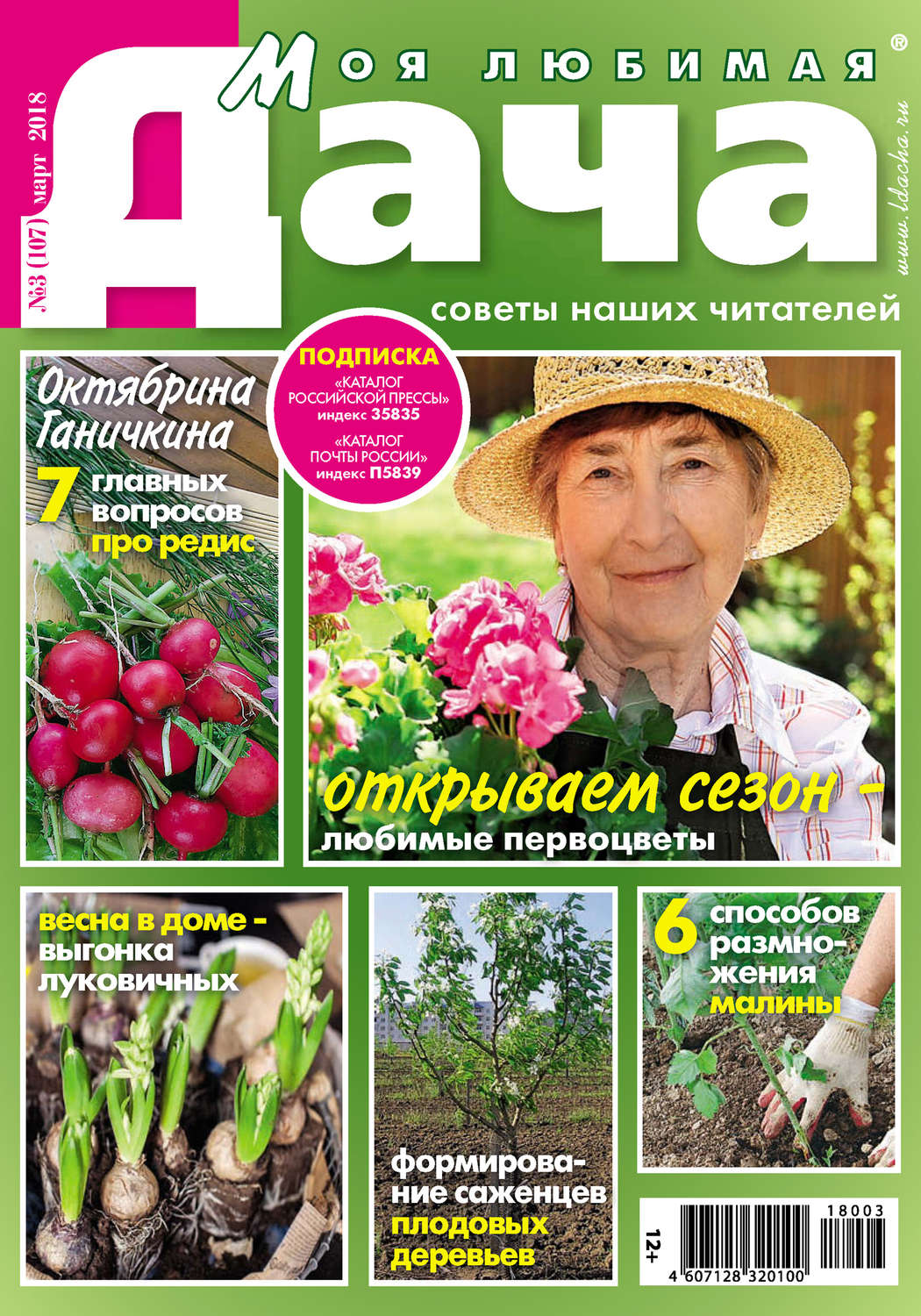 Обложка книги «Моя любимая дача №3/2018»