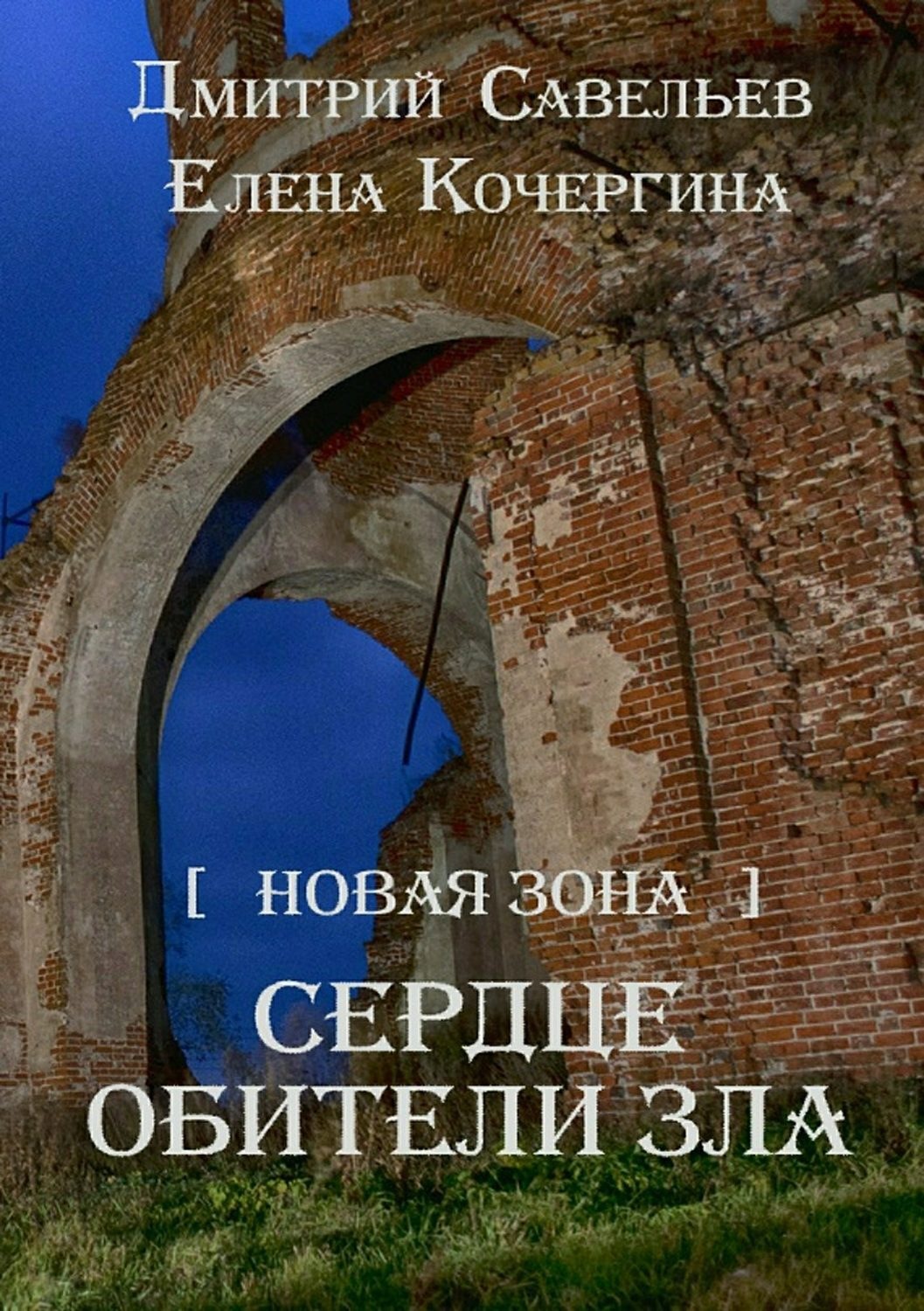 Обложка книги «Новая Зона. Сердце обители зла»