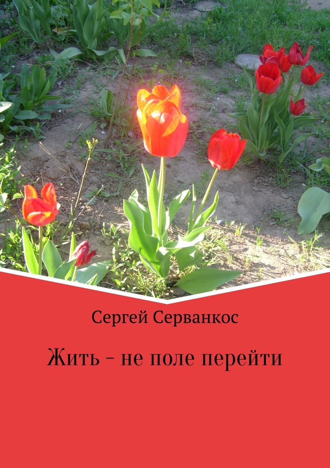 Обложка книги «Жить – не поле перейти. Сборник»