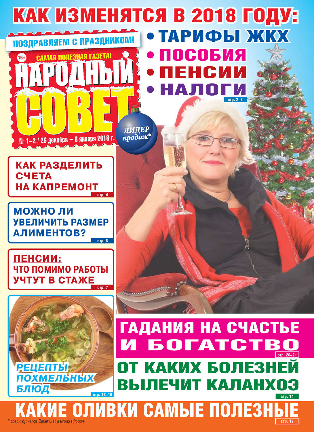 Обложка книги «Народный совет №01-02/2018»