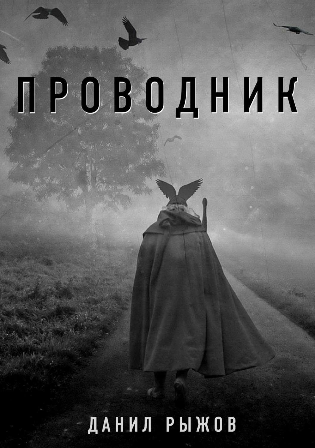 Обложка книги «Проводник»