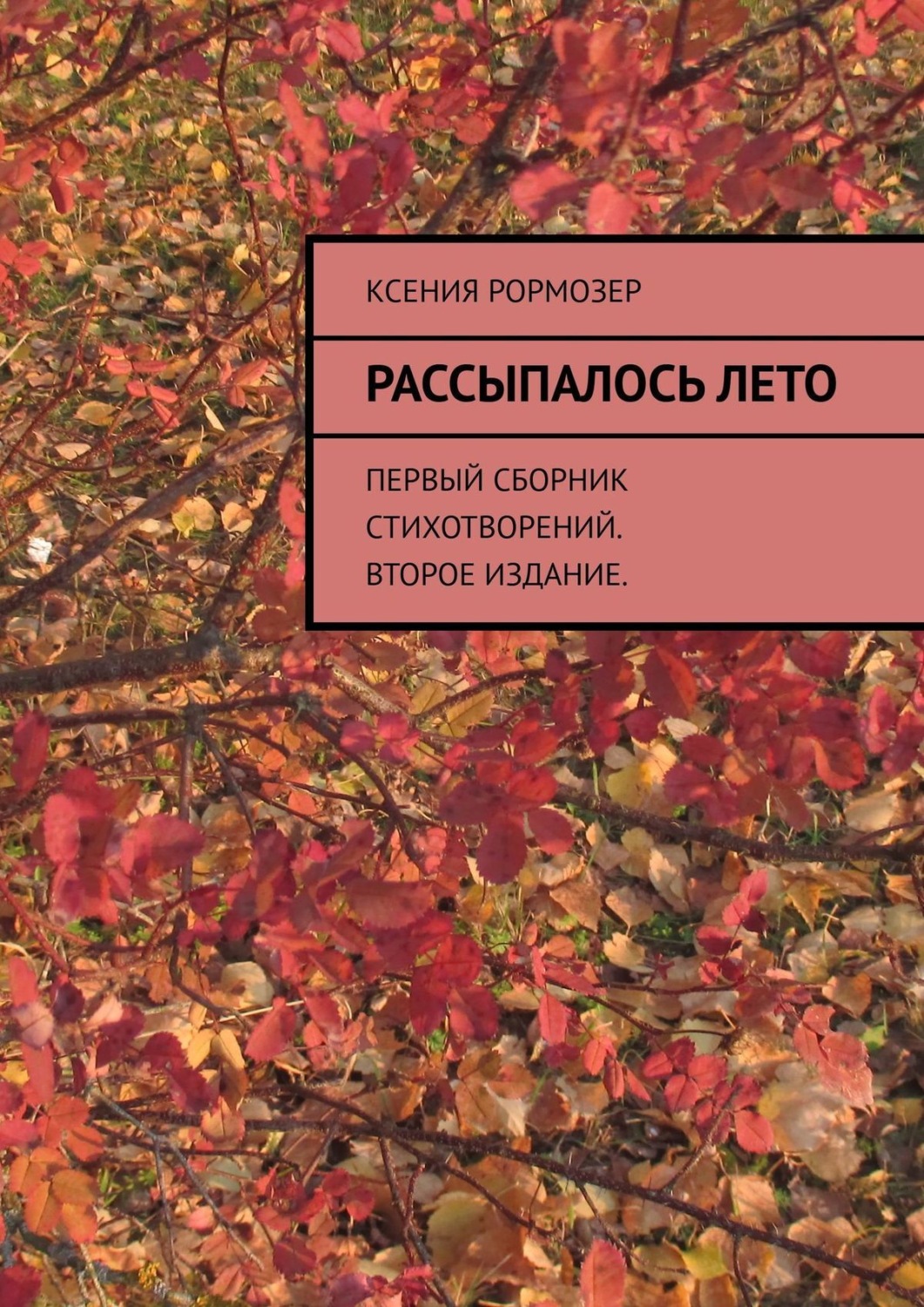Обложка книги «Рассыпалось лето. Первый сборник стихотворений. Второе издание»