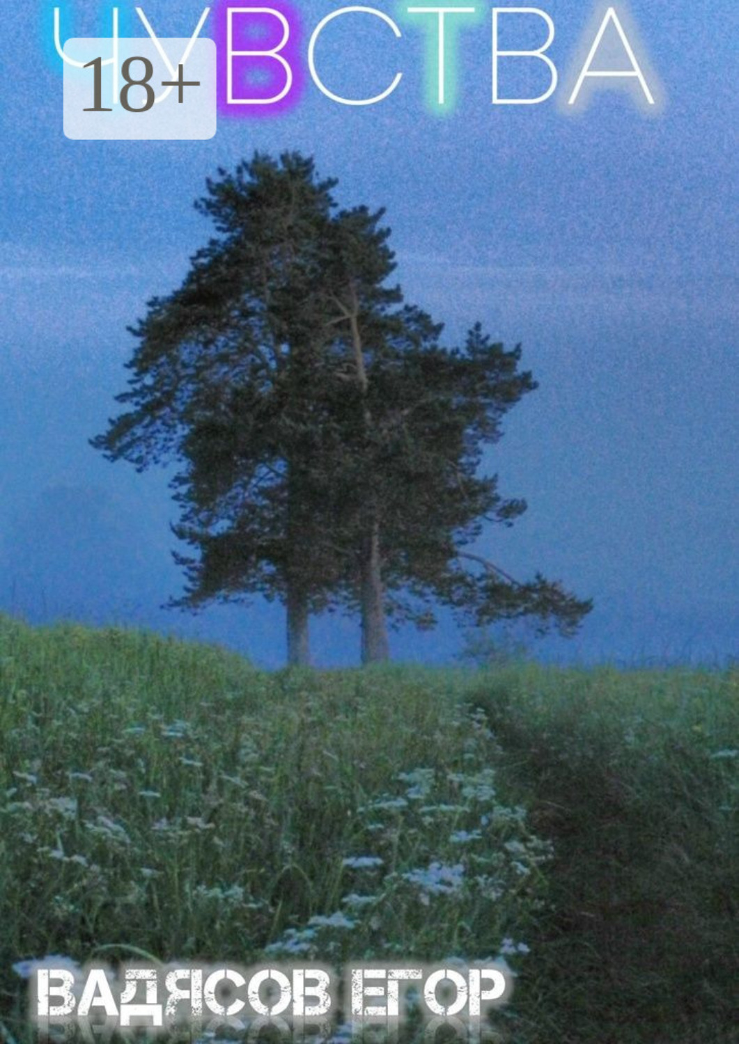 Обложка книги «Чувства. Все чувства когда-то заканчиваются, но я верю что есть продолжение…»