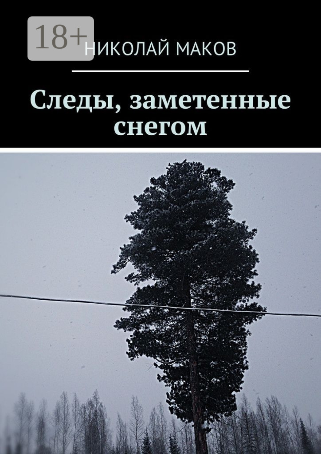 Обложка книги «Следы, заметенные снегом»