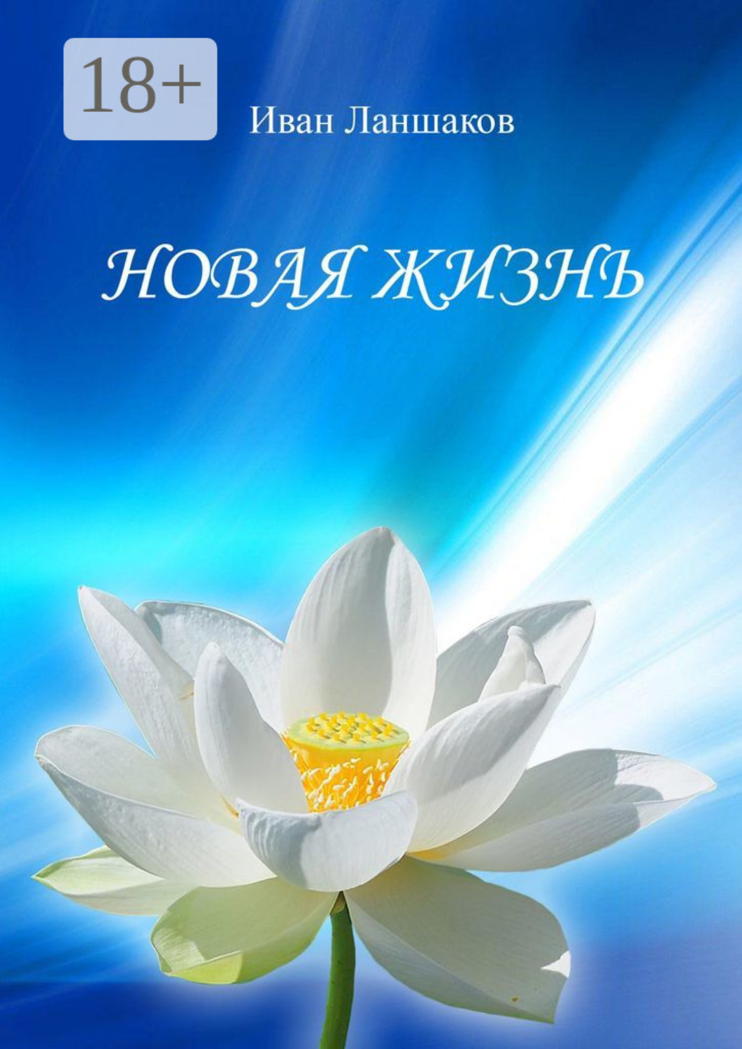Обложка книги «Новая жизнь»