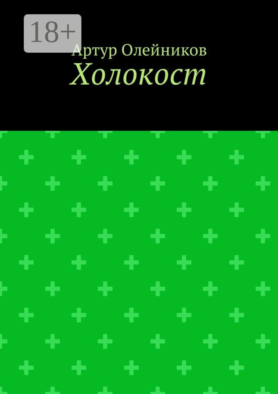 Обложка книги «Холокост»
