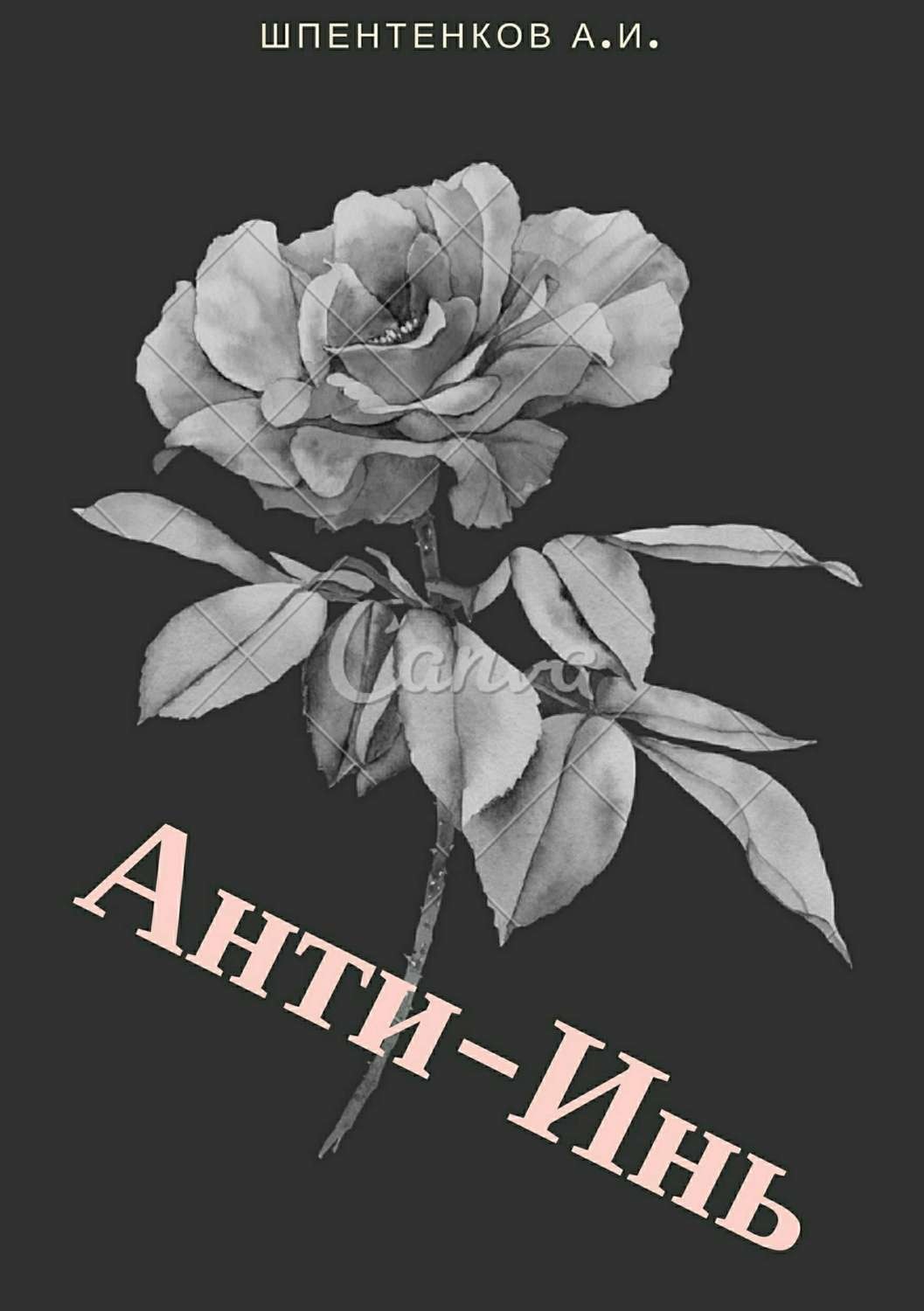 Обложка книги «Анти-Инь»