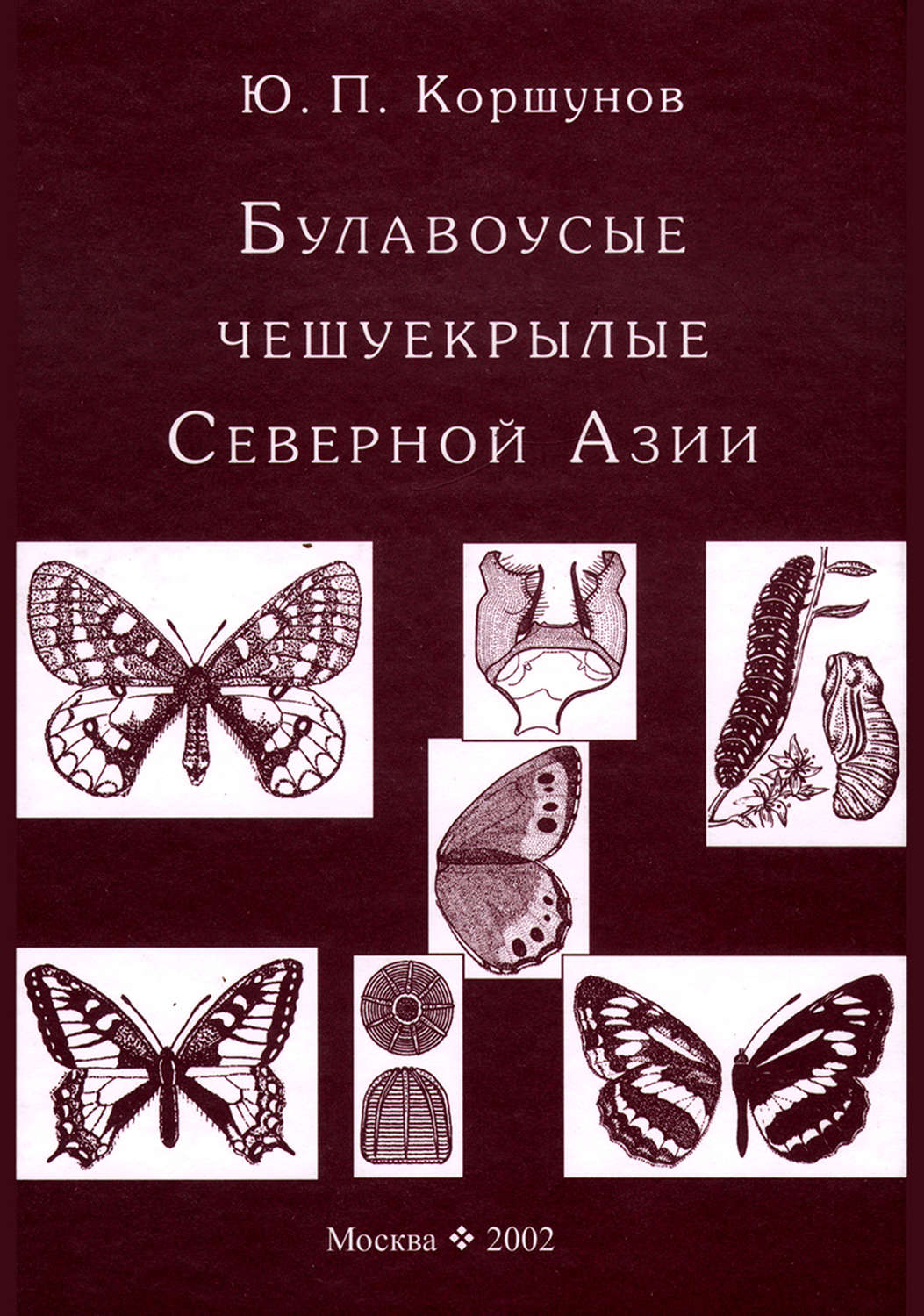 Обложка книги «Булавоусые чешуекрылые Северной Азии»