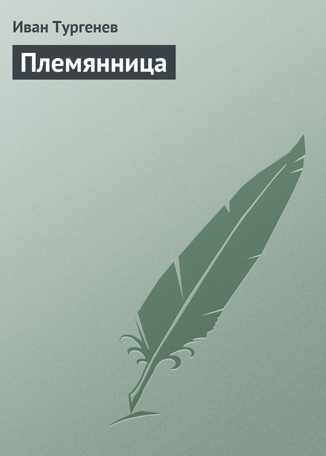 Обложка книги «Племянница»