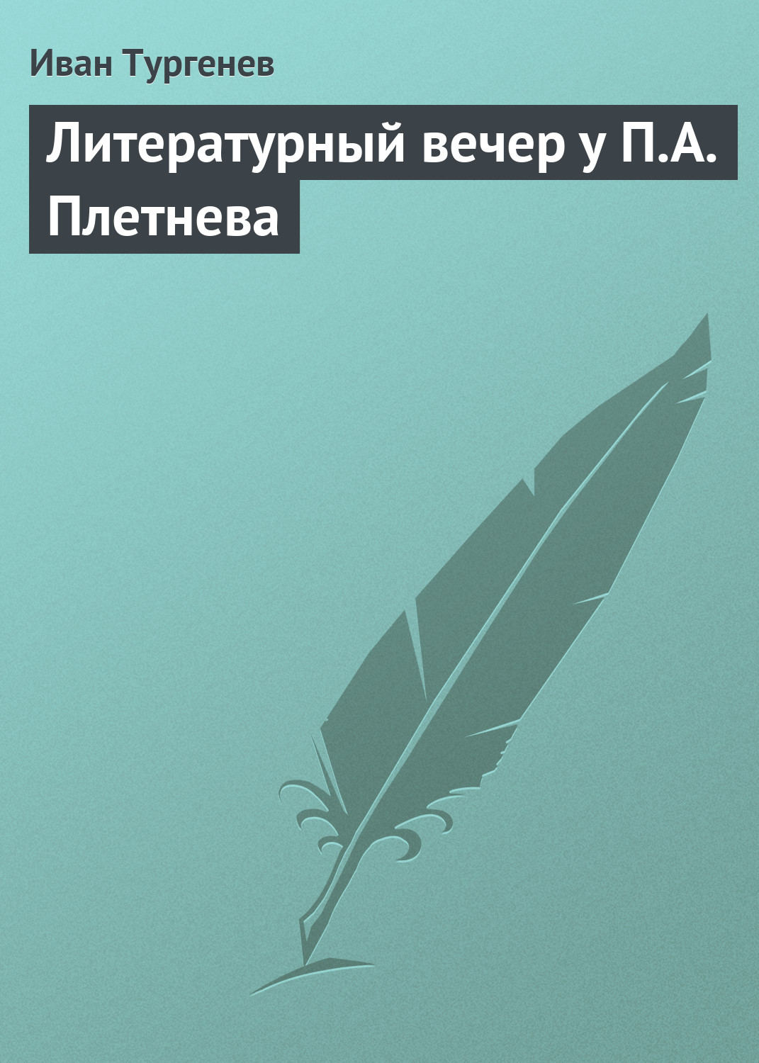 Обложка книги «Литературный вечер у П.А. Плетнева»