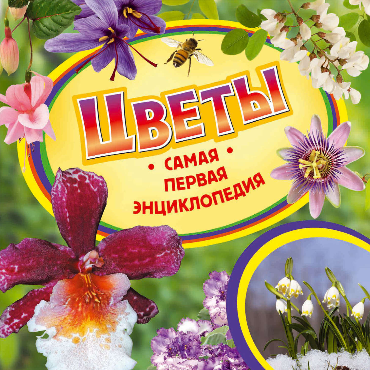 Обложка книги «Цветы»