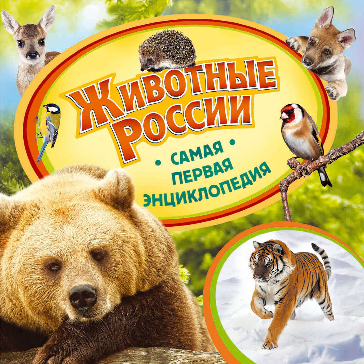 Обложка книги «Животные России»
