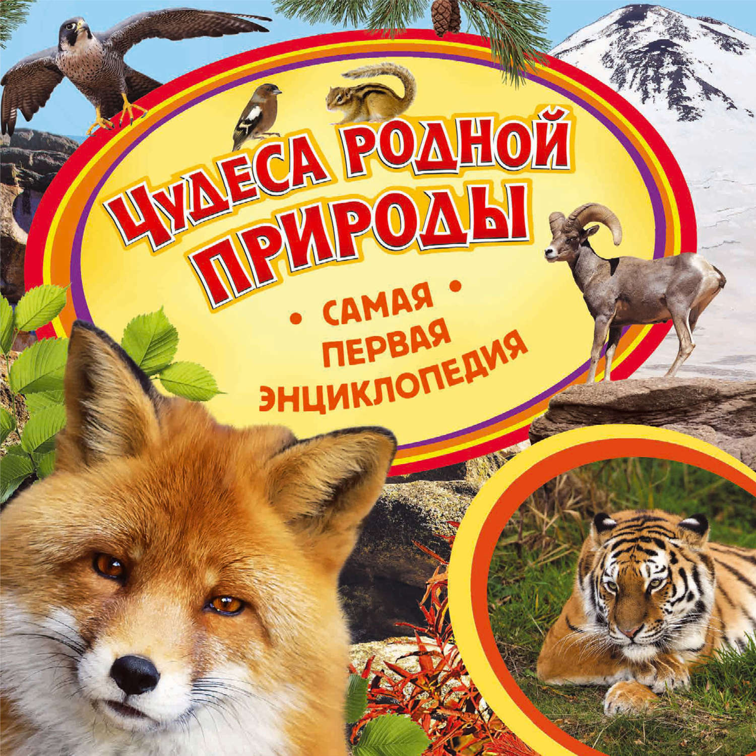Обложка книги «Чудеса родной природы»