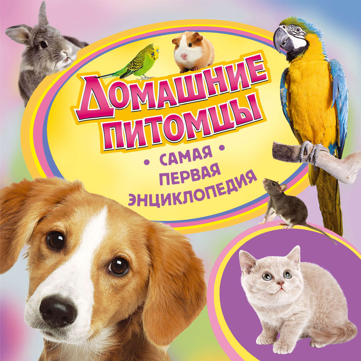 Обложка книги «Домашние питомцы»