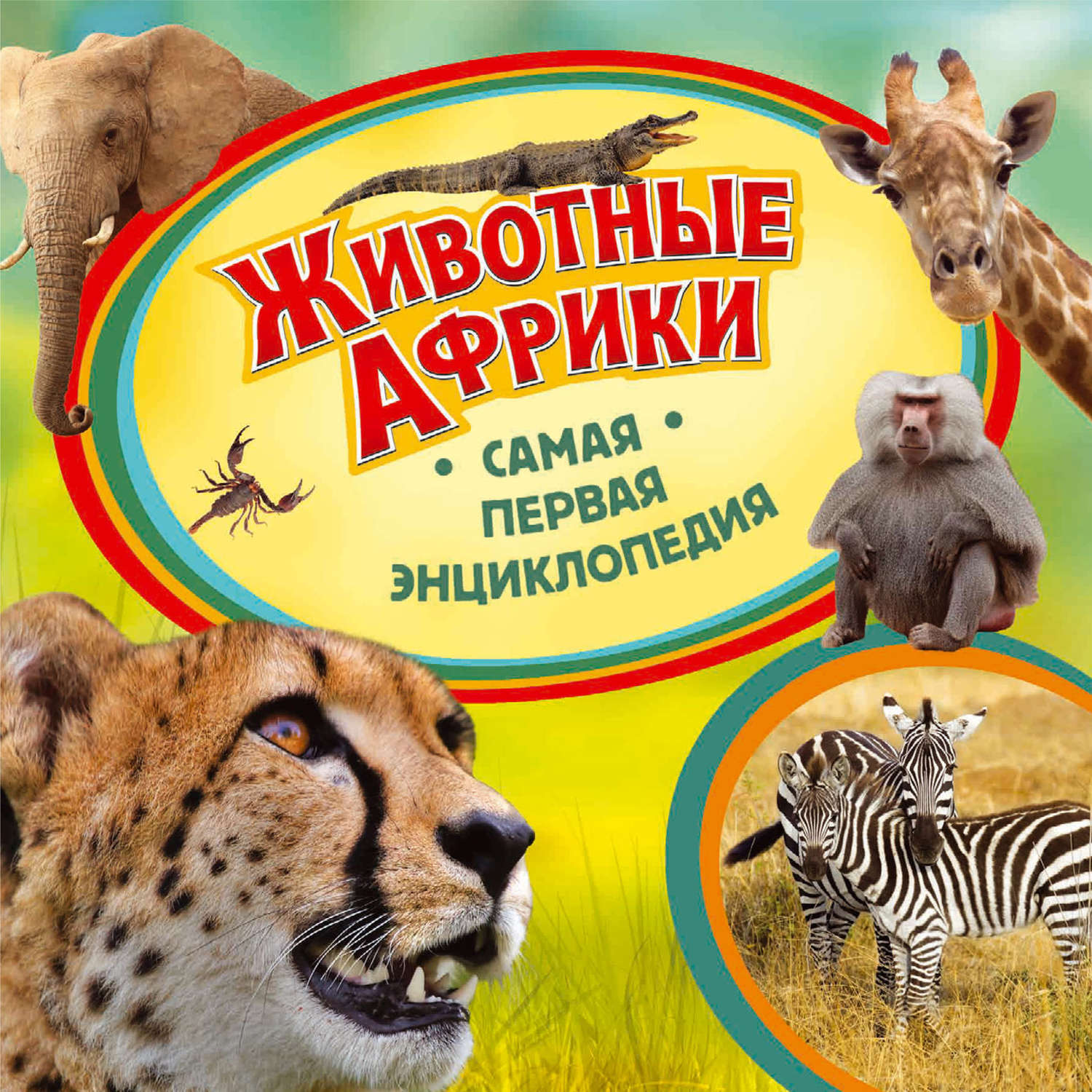 Обложка книги «Животные Африки»