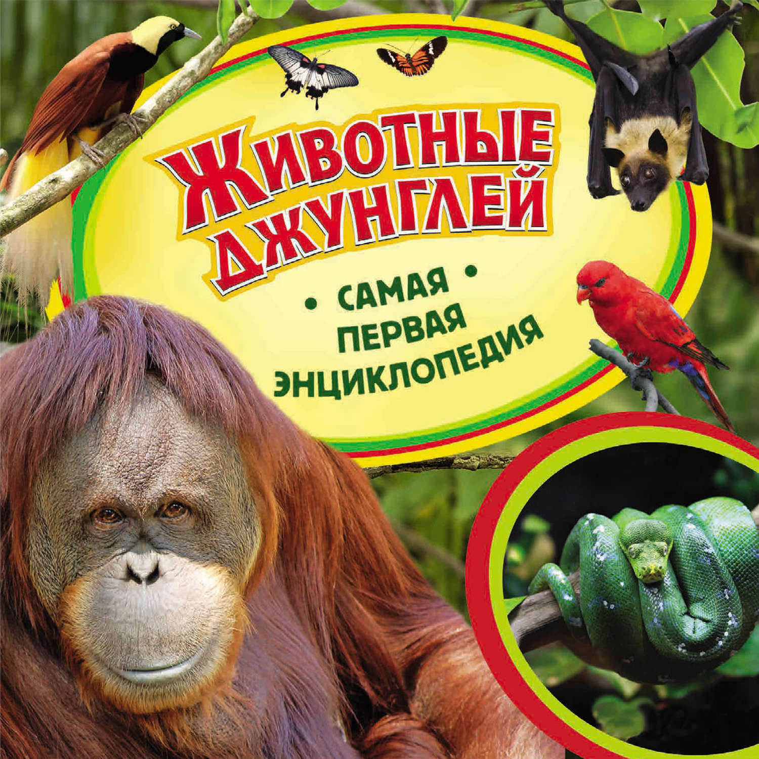 Обложка книги «Животные джунглей»