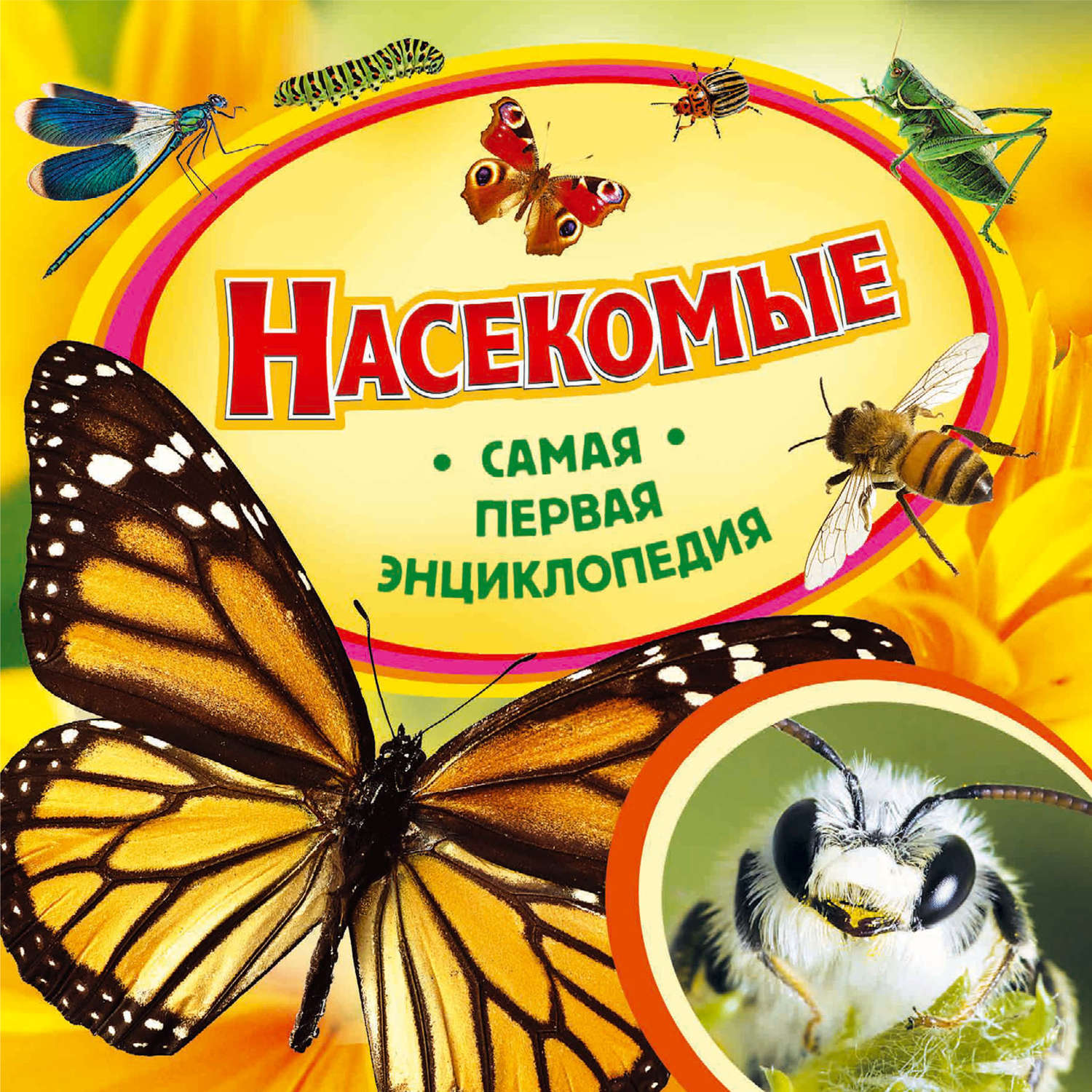 Обложка книги «Насекомые»