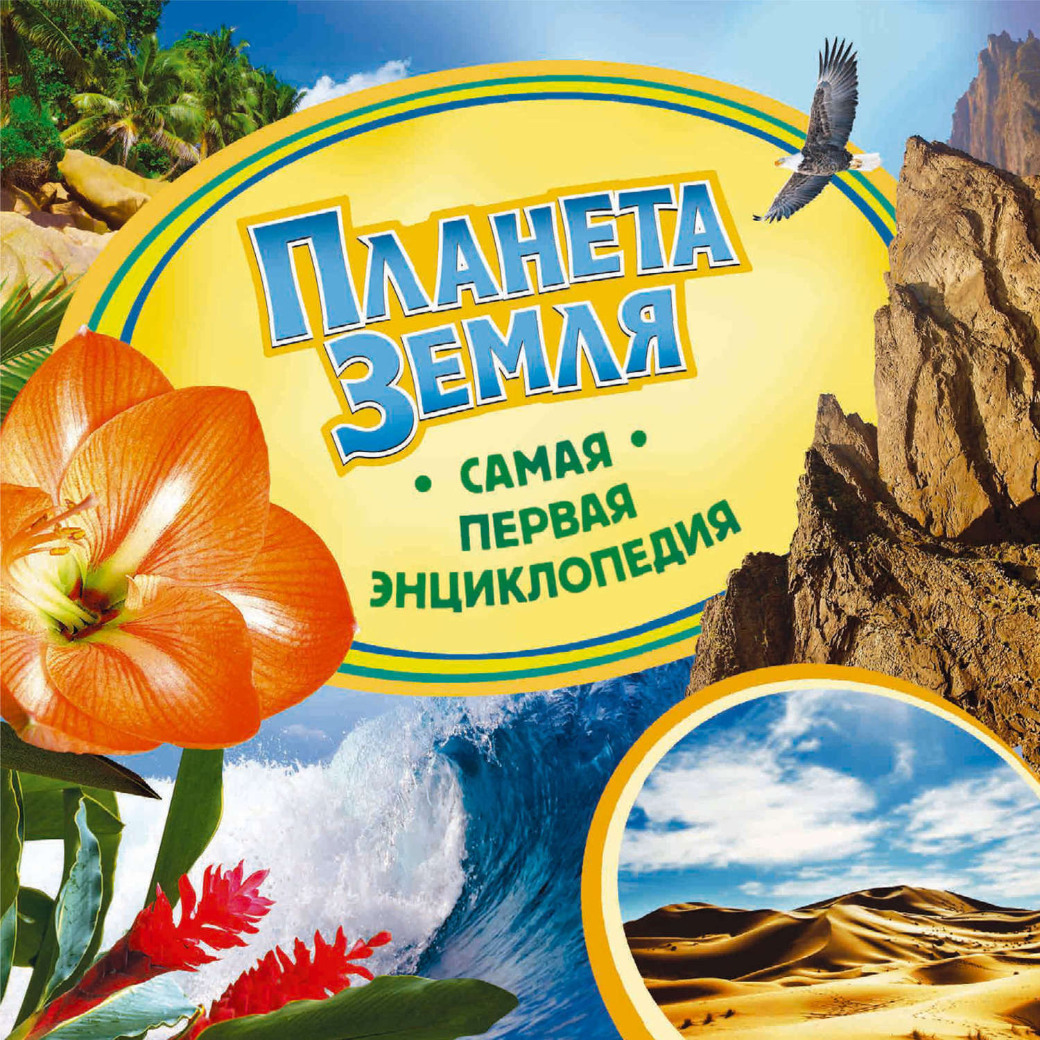 Обложка книги «Планета Земля»