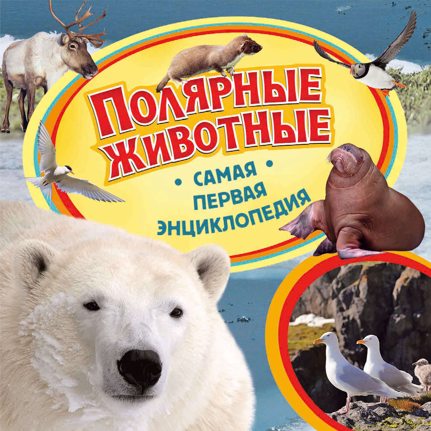 Обложка книги «Полярные животные»