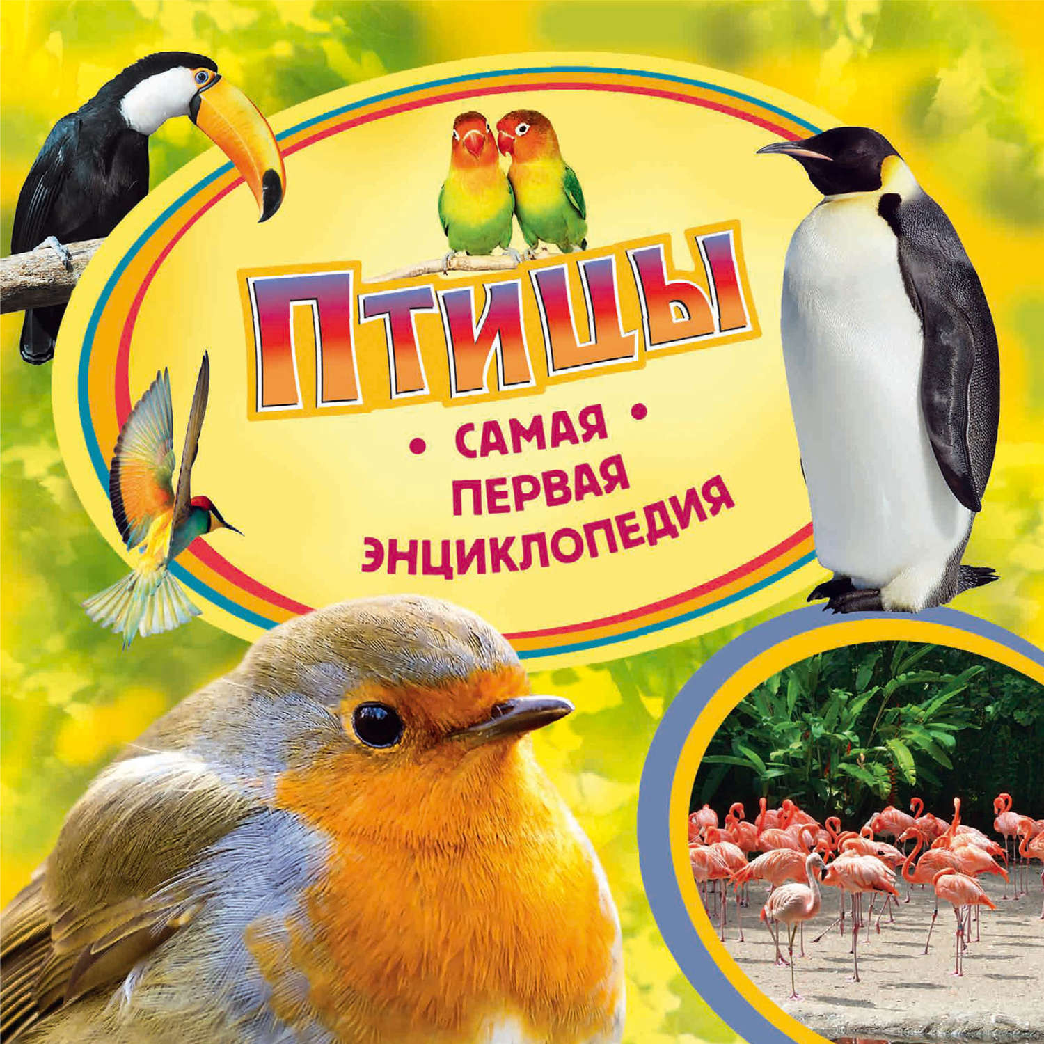 Обложка книги «Птицы»