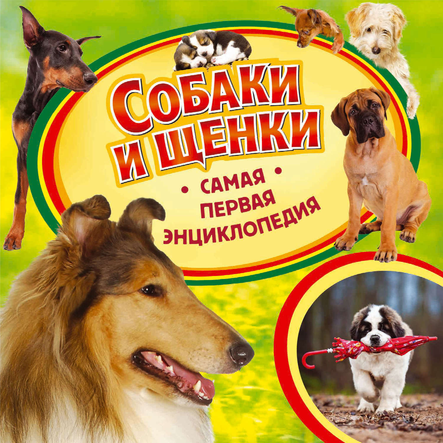 Обложка книги «Собаки и щенки»