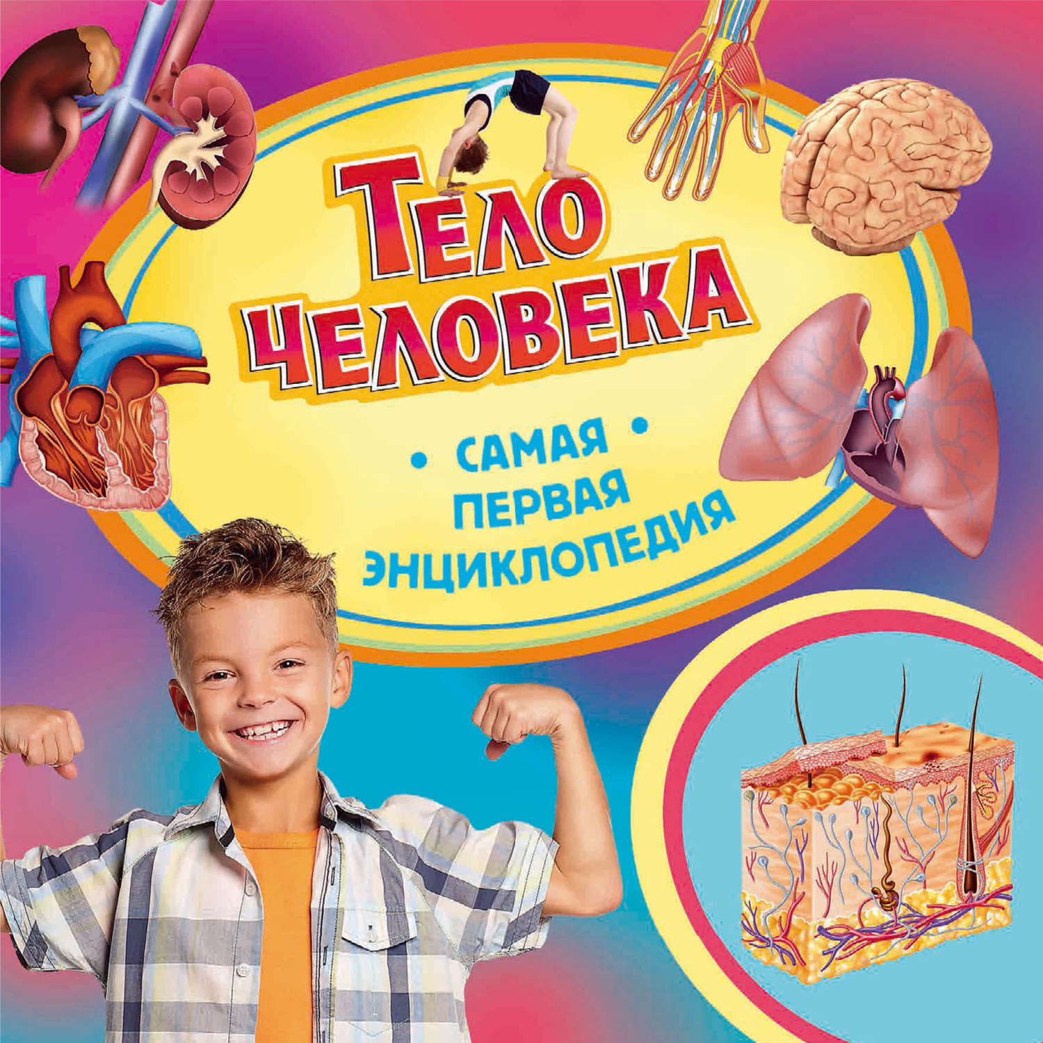 Обложка книги «Тело человека»