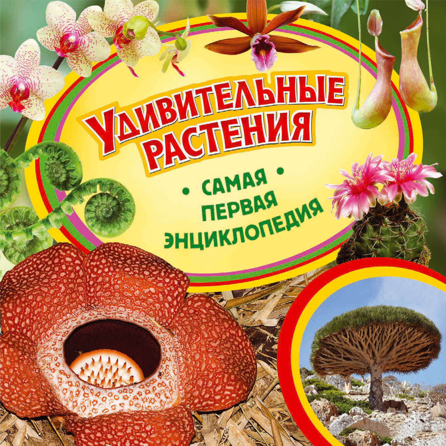 Обложка книги «Удивительные растения»