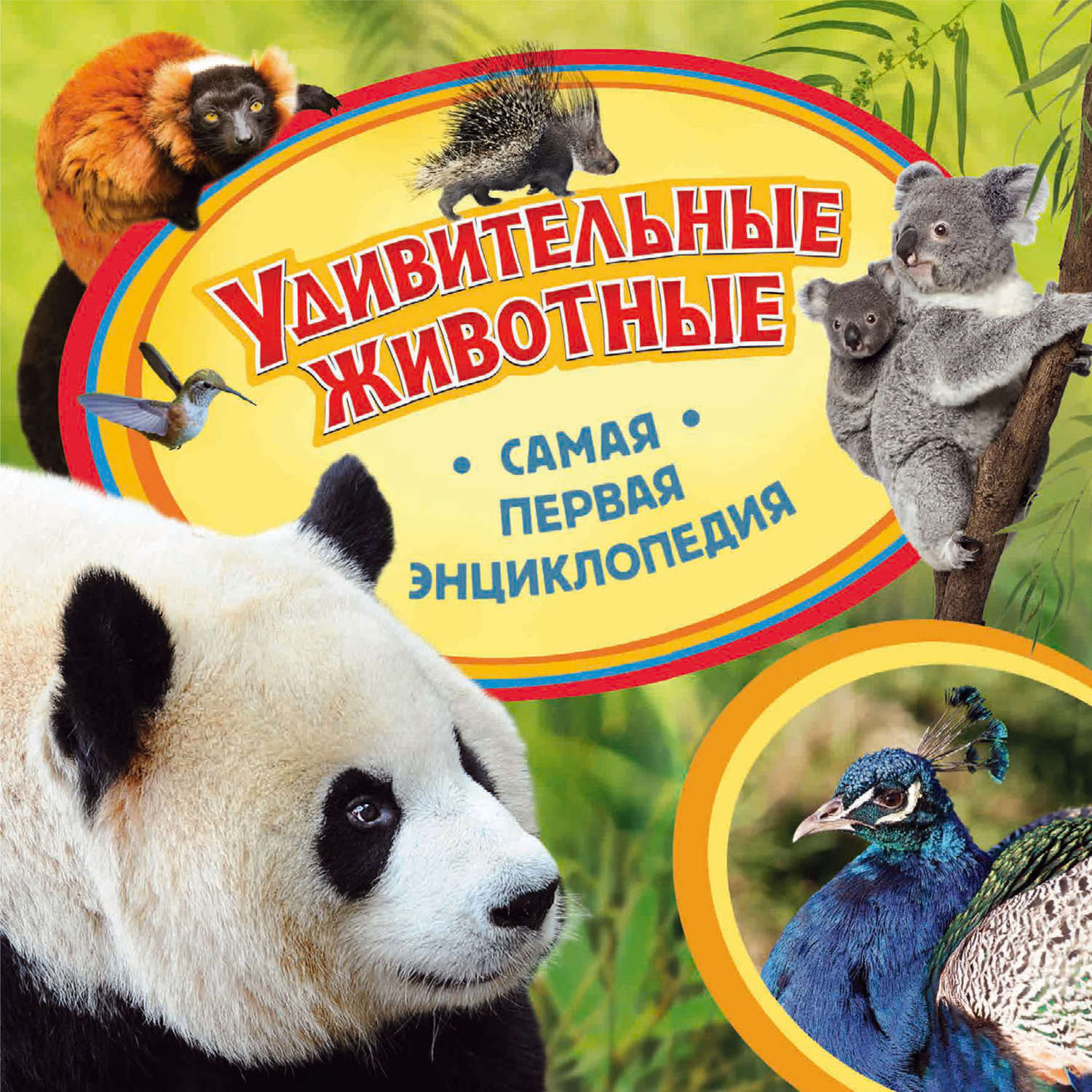 Обложка книги «Удивительные животные»