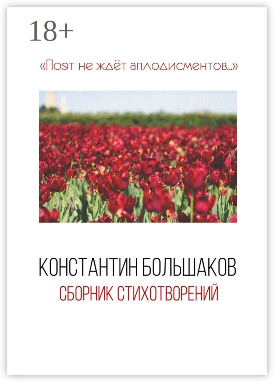 Обложка книги «Поэт не ждёт аплодисментов… Сборник стихотворений»