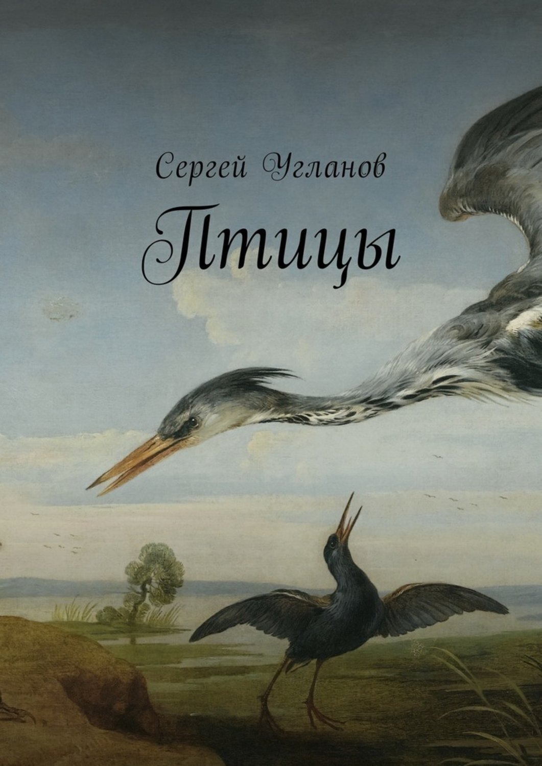 Обложка книги «Птицы. Фантастический рассказ»