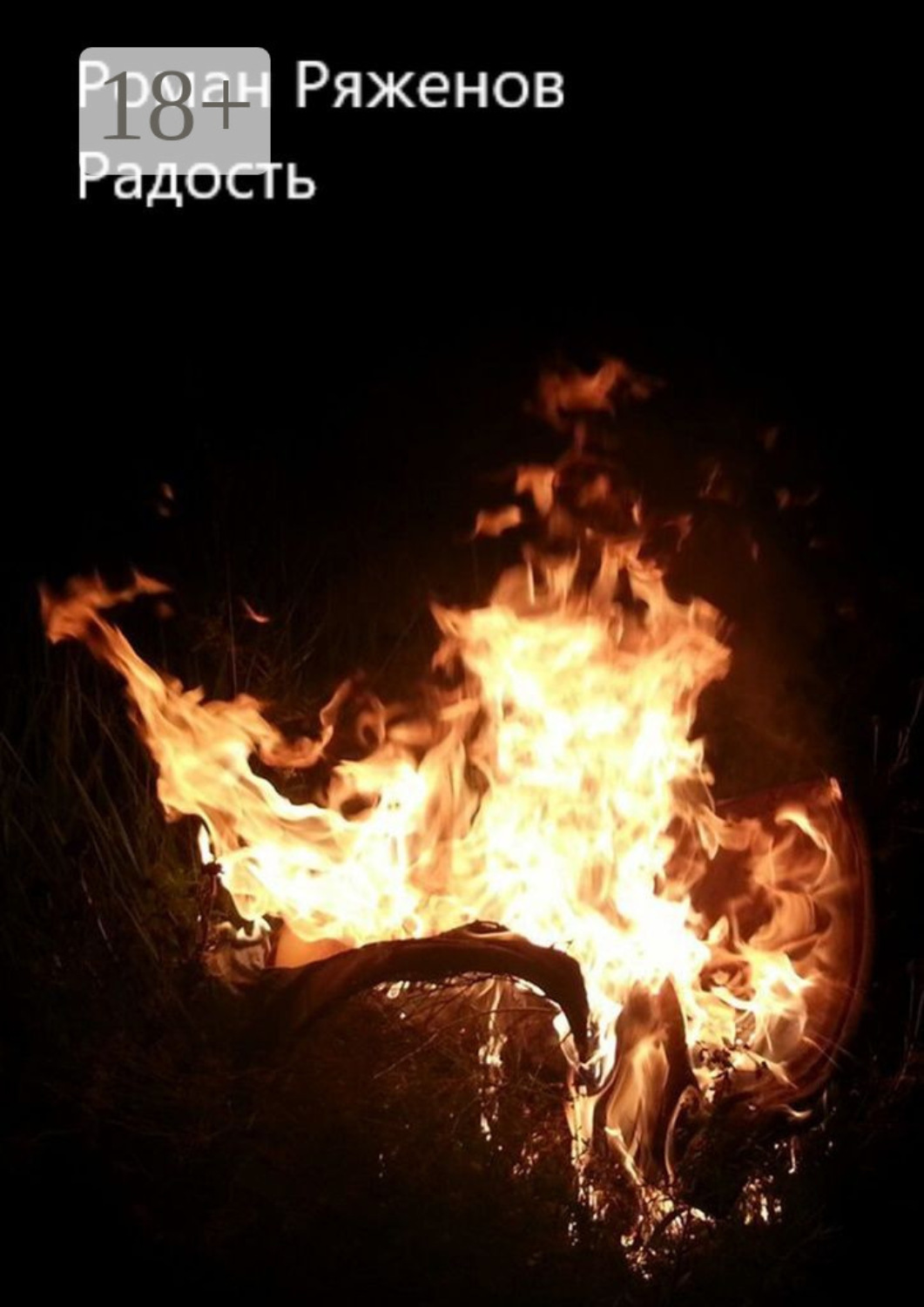 Обложка книги «Радость»