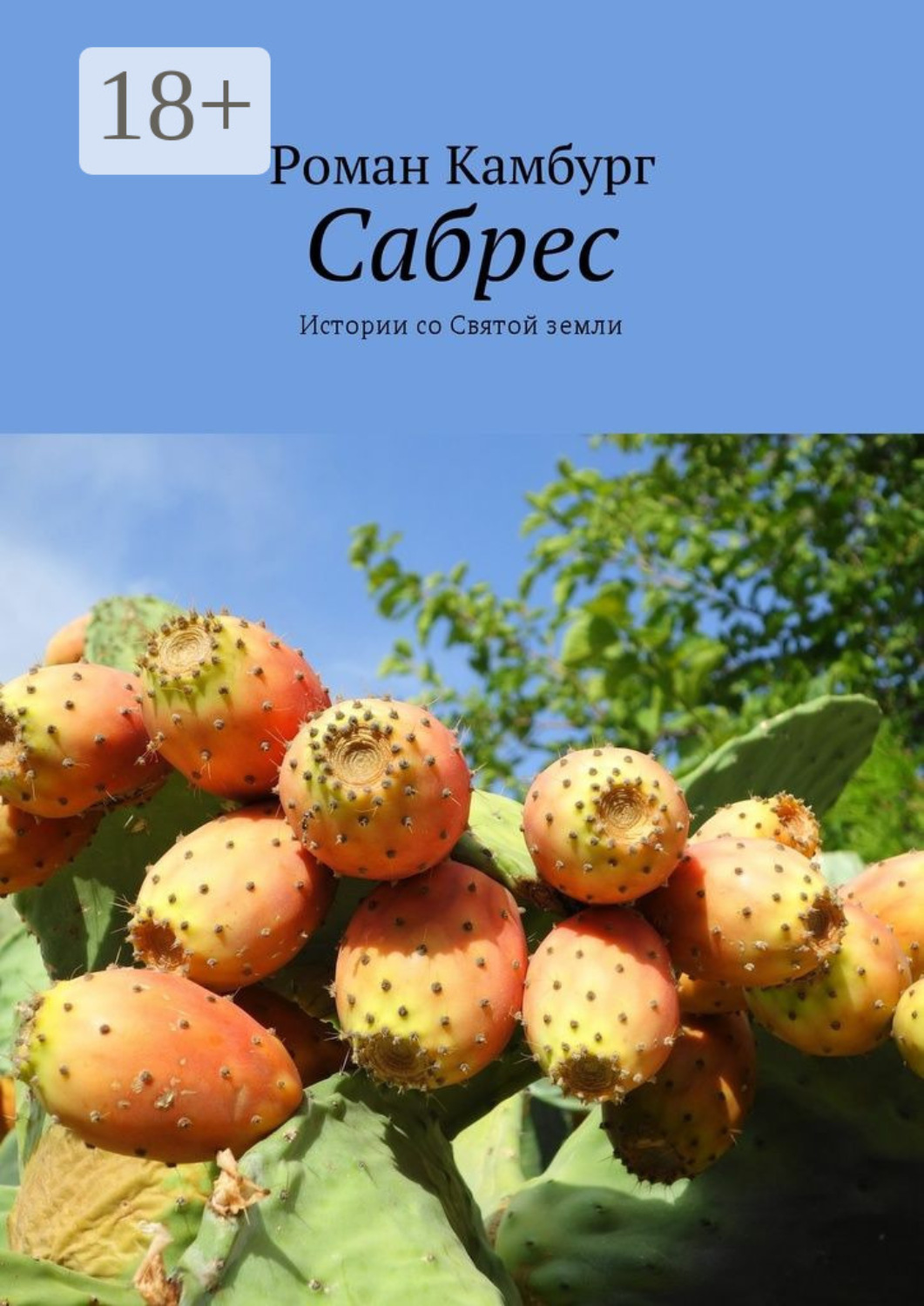 Обложка книги «Сабрес. Истории со Святой земли»