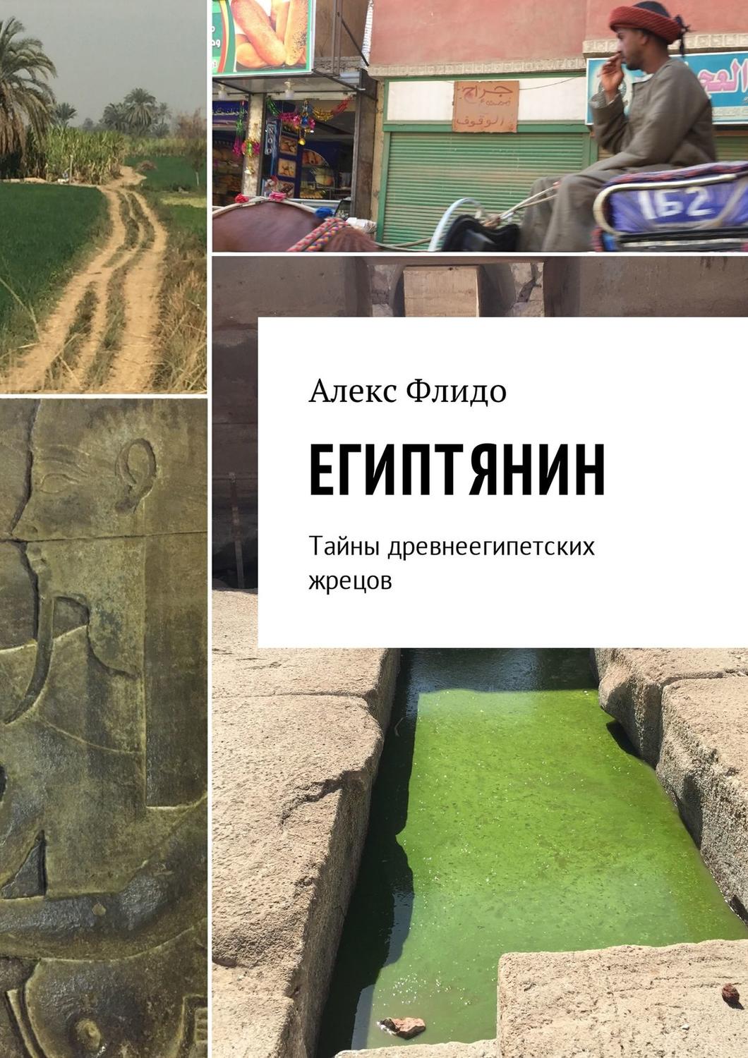 Обложка книги «Египтянин. Тайны древнеегипетских жрецов»