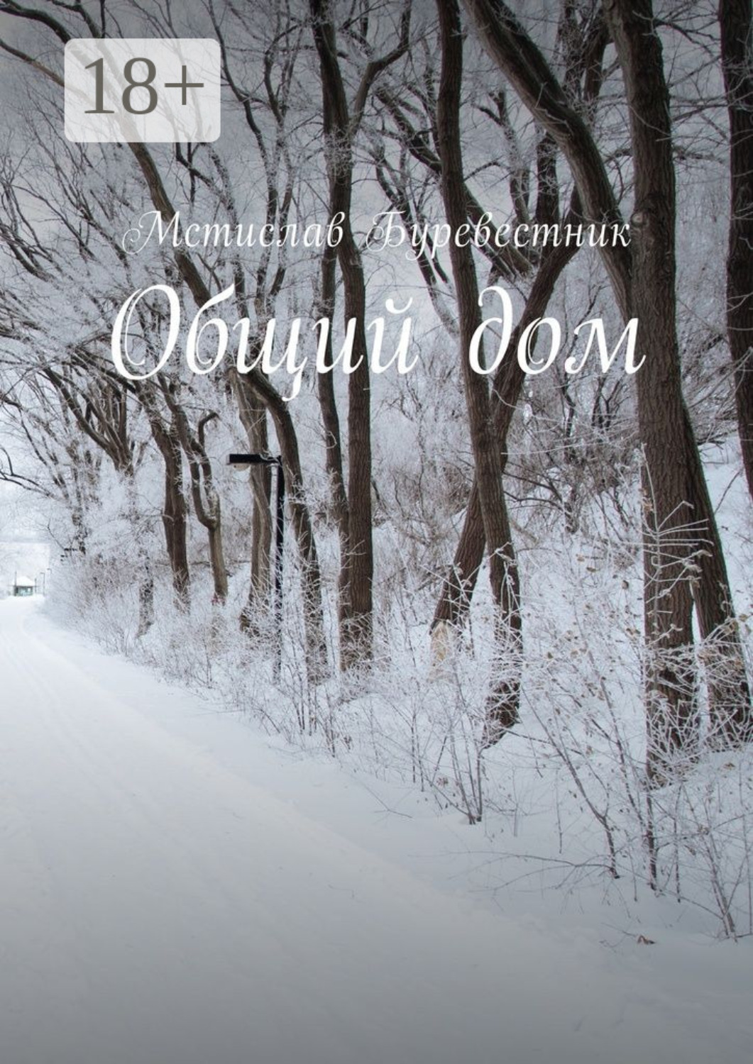 Обложка книги «Общий дом»