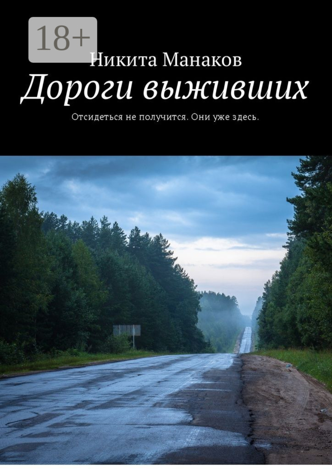 Обложка книги «Дороги выживших. Отсидеться не получится. Они уже здесь»