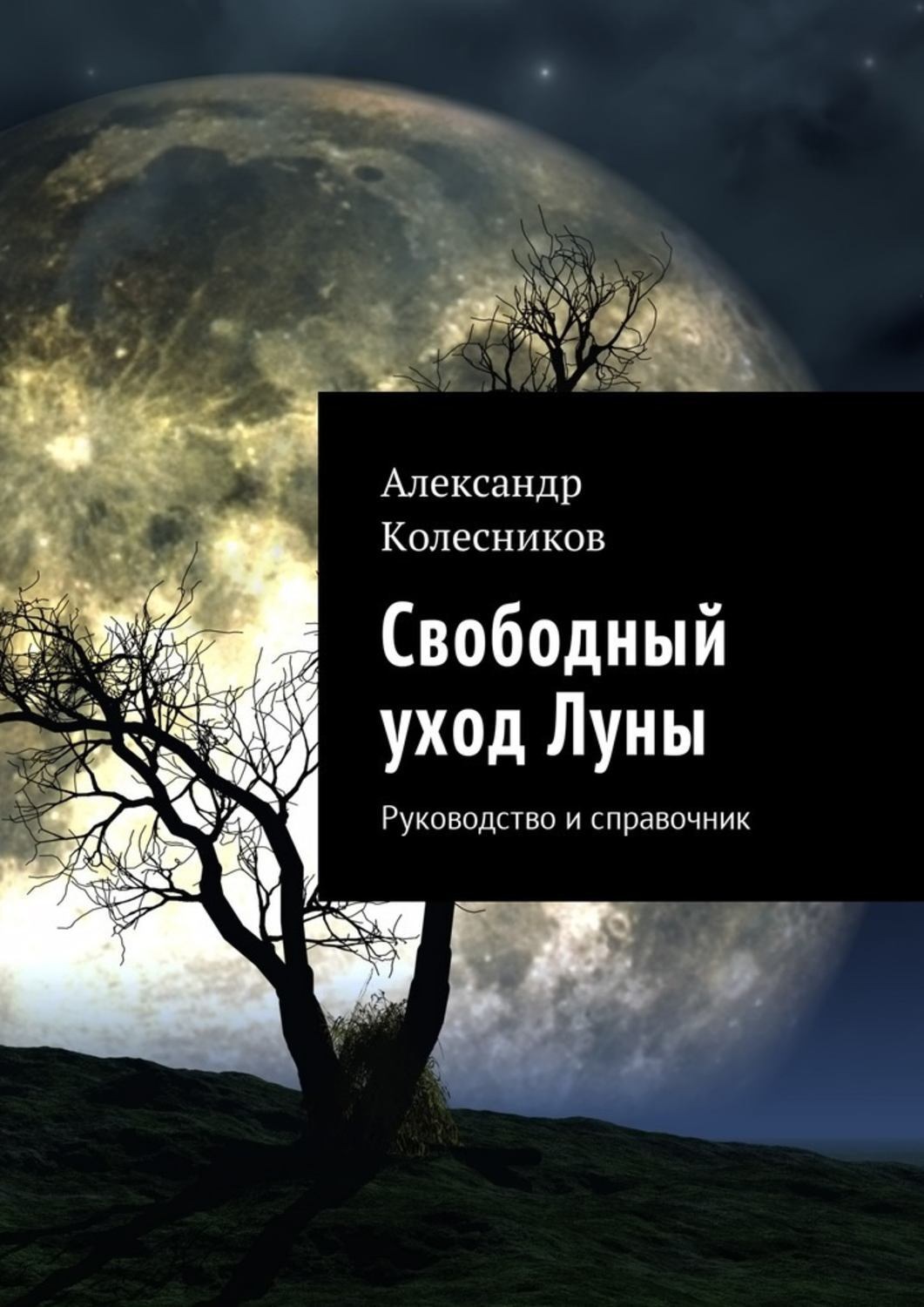 Обложка книги «Свободный уход Луны. Руководство и справочник»
