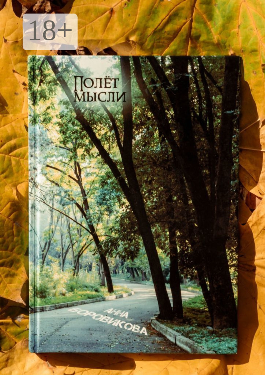 Обложка книги «Полёт мысли. Сборник стихов»