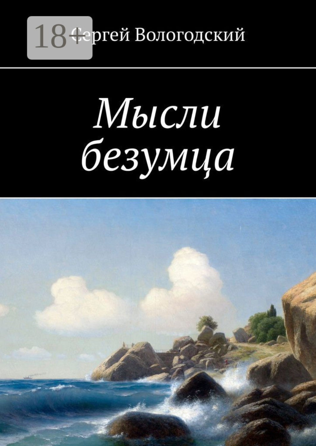 Обложка книги «Мысли безумца»