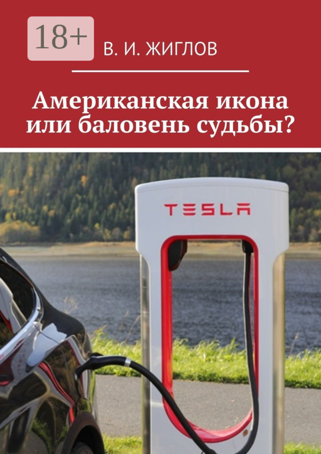Обложка книги «Американская икона или баловень судьбы?»