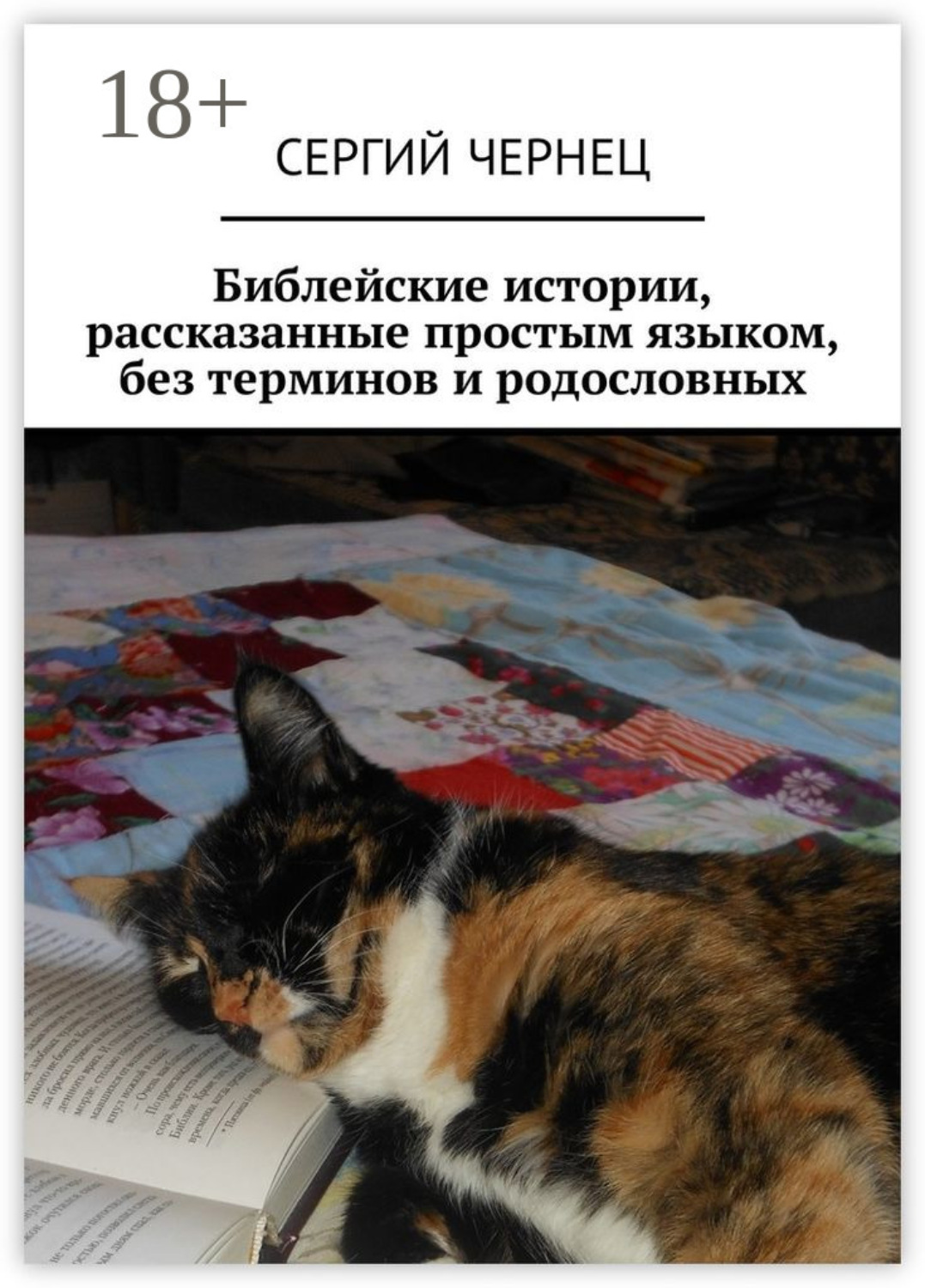 Обложка книги «Библейские истории, рассказанные простым языком, без терминов и родословных»