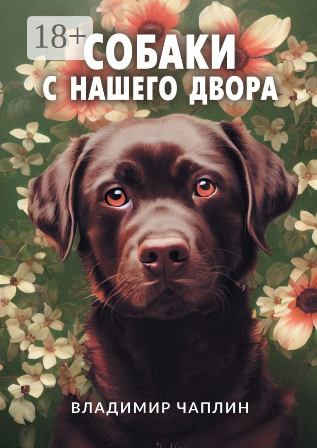 Обложка книги «Собаки с нашего двора. Рассказы»