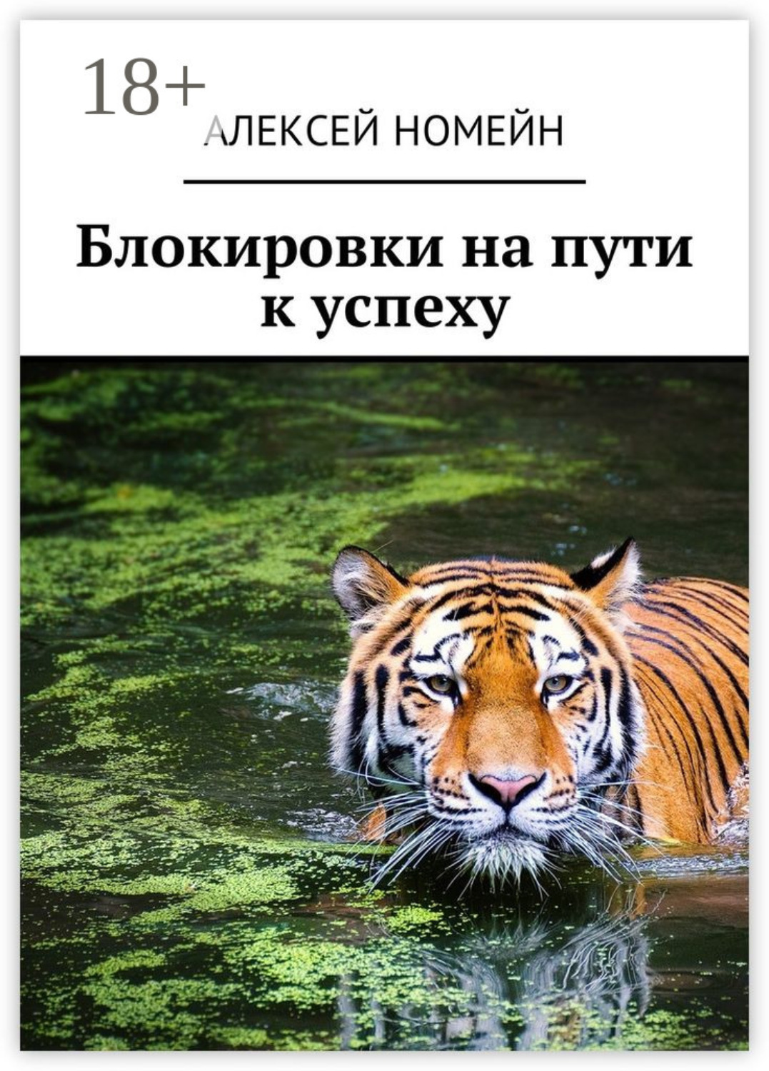 Обложка книги «Блокировки на пути к успеху»