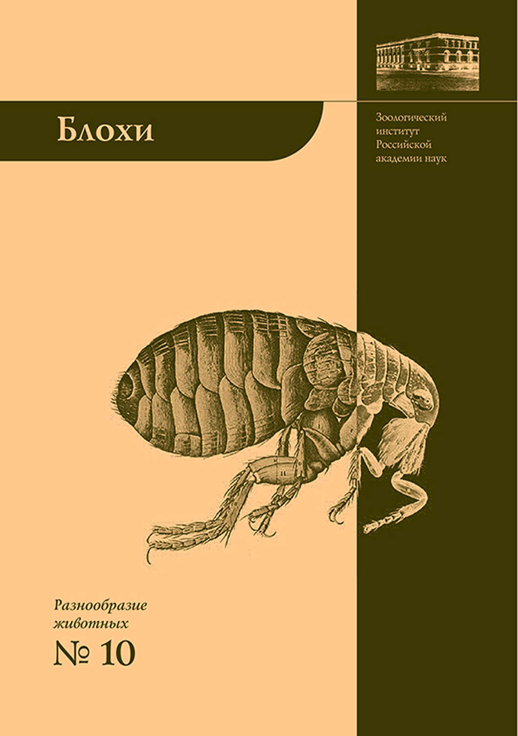 Обложка книги «Блохи – домашние или домовые животные?»