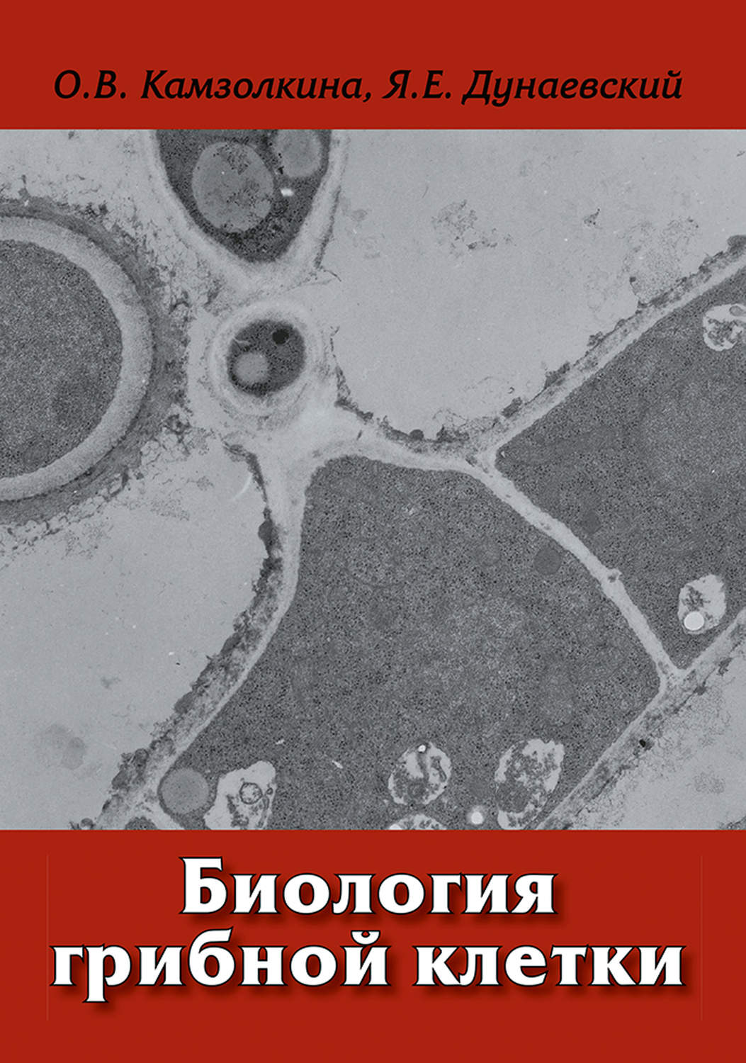 Обложка книги «Биология грибной клетки»