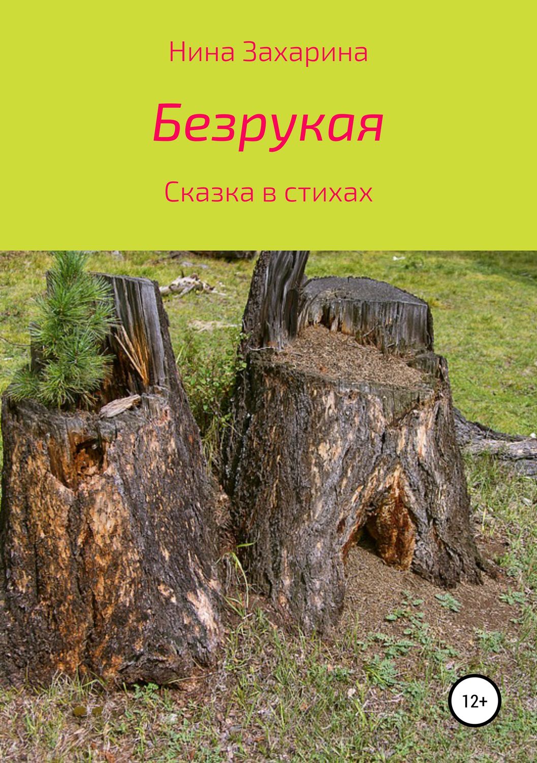 Обложка книги «Безрукая»
