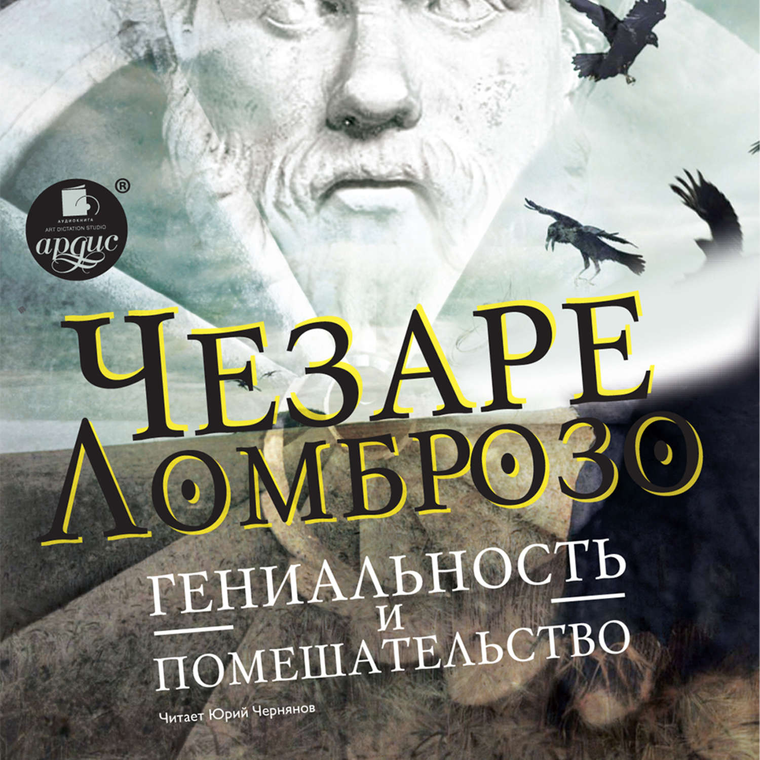 Обложка книги «Гениальность и помешательство»
