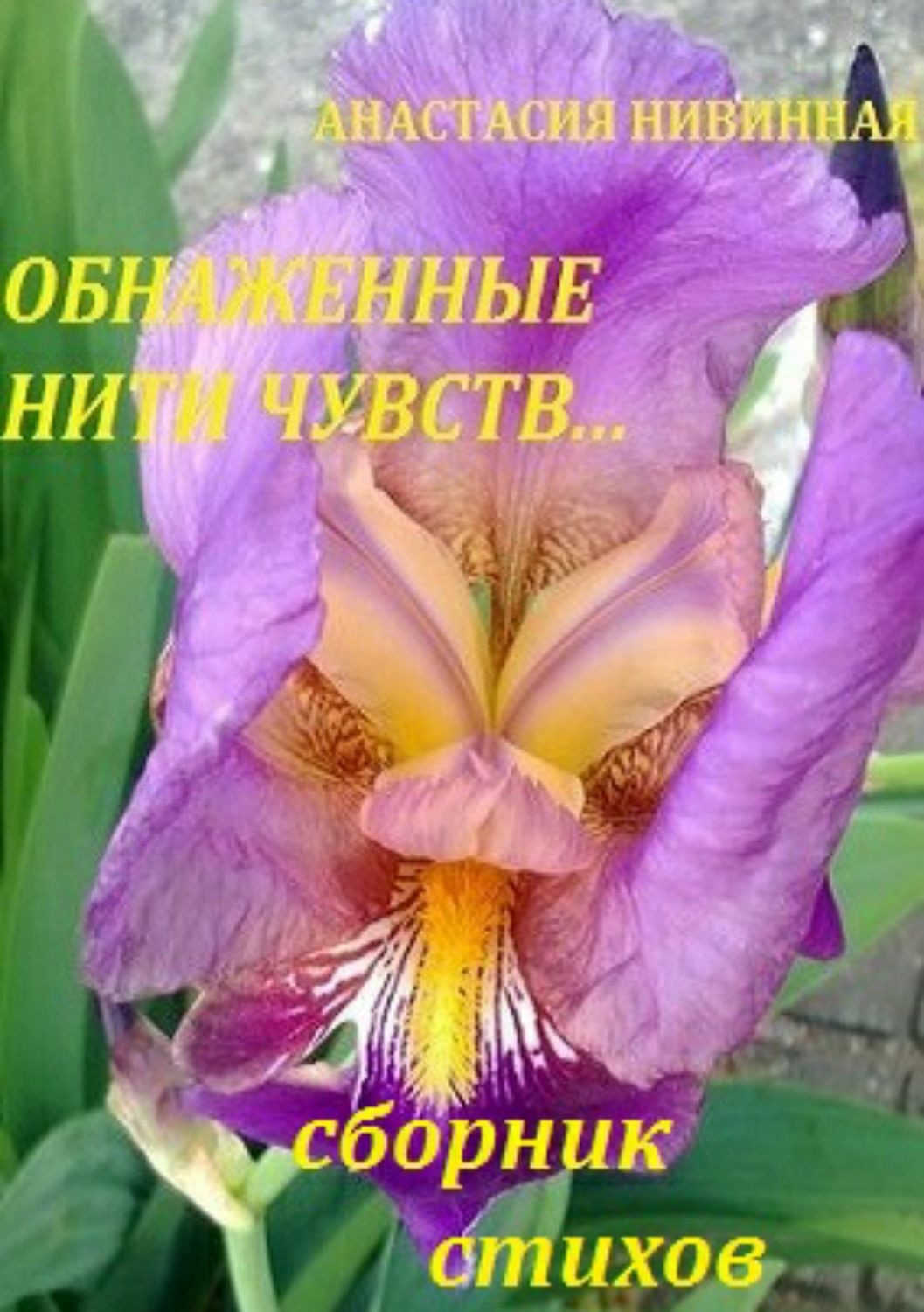 Обложка книги «Обнаженные нити чувств. Сборник стихов»