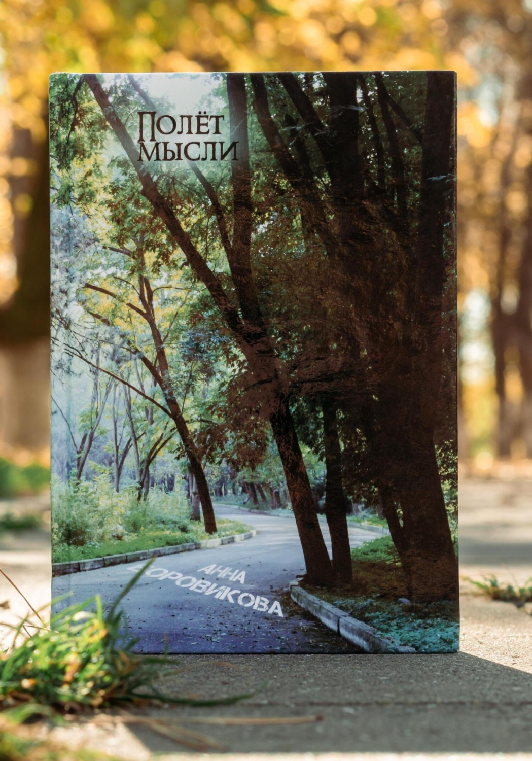 Обложка книги «Полёт мысли»