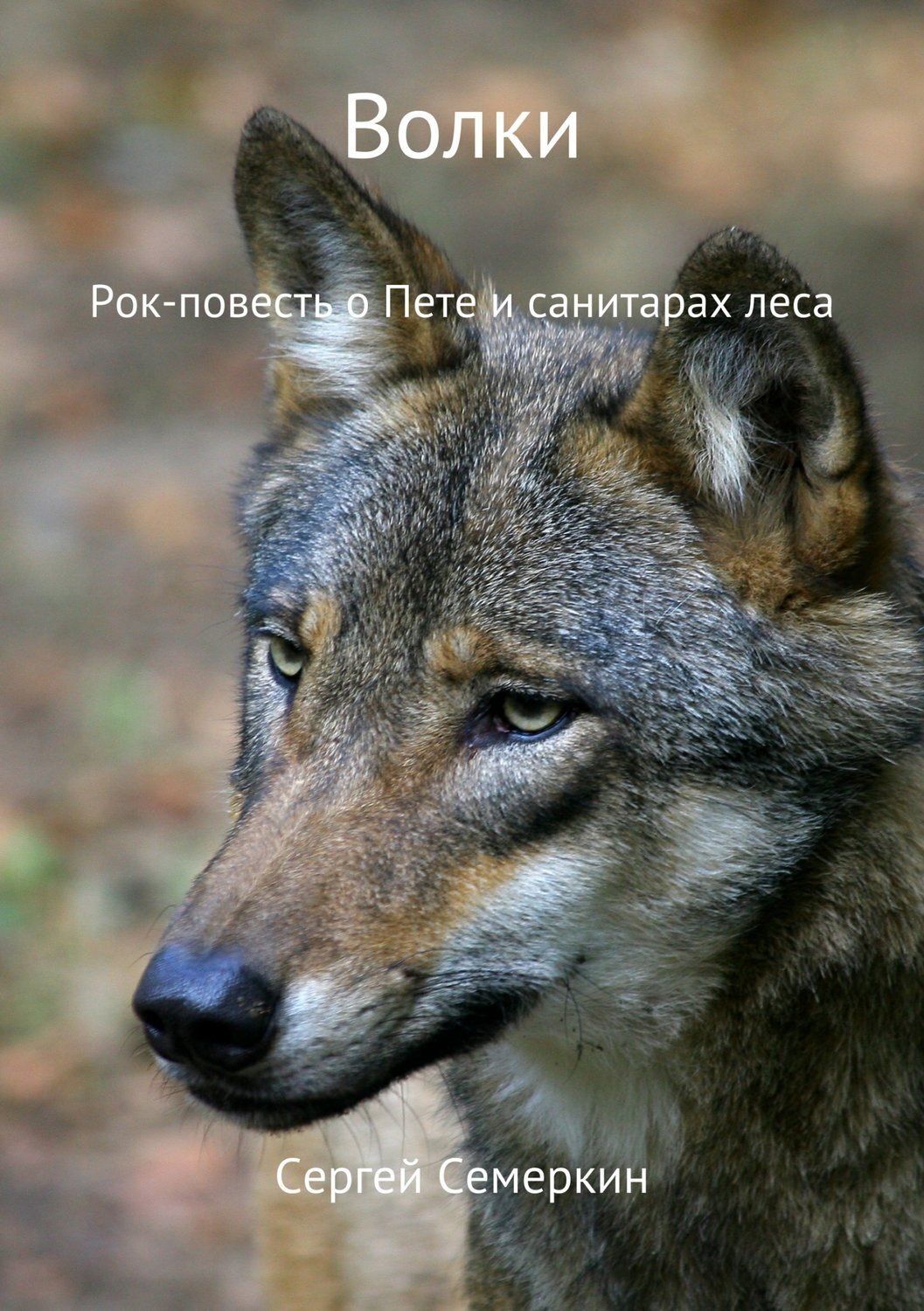 Обложка книги «Волки»