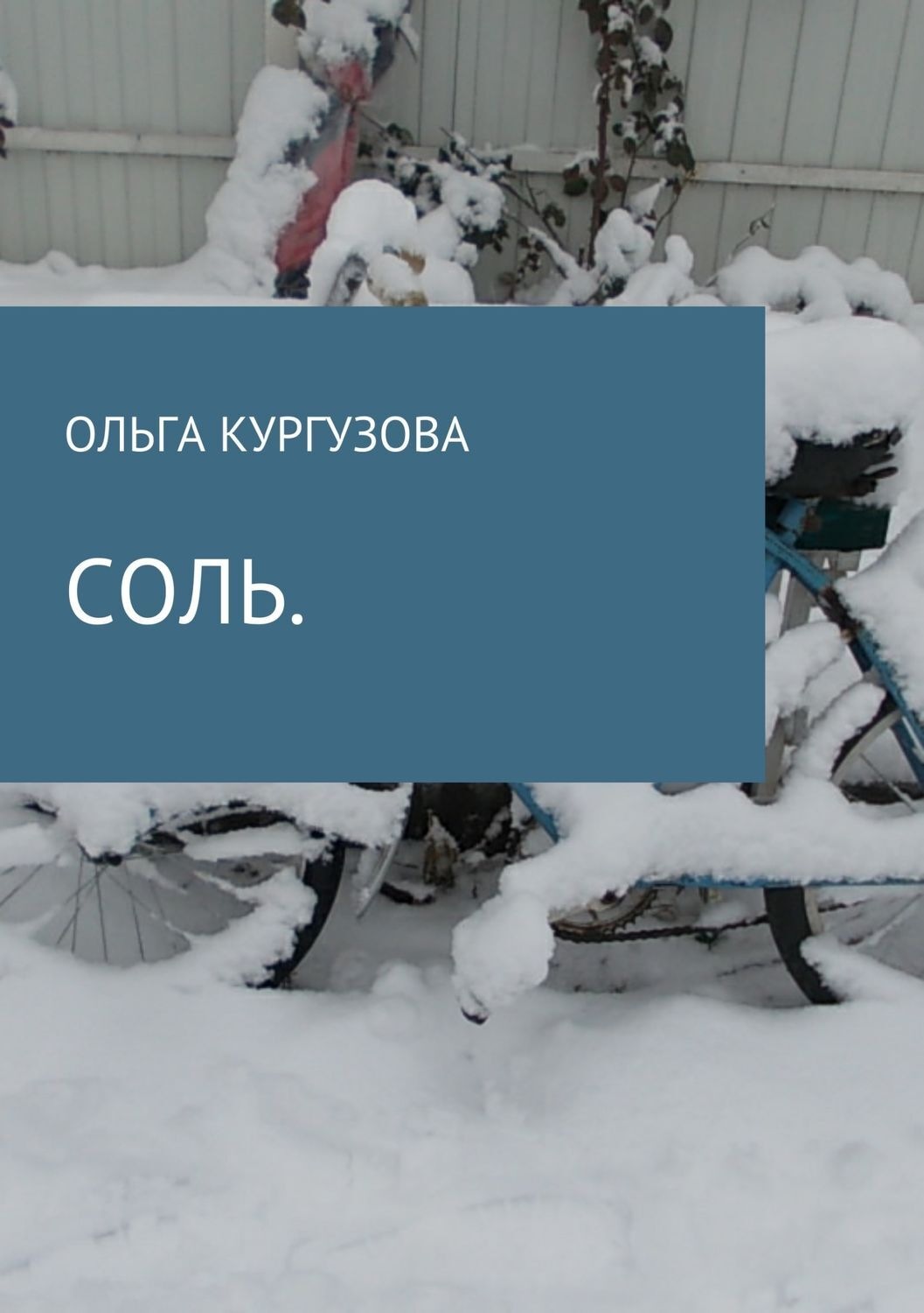 Обложка книги «Соль»